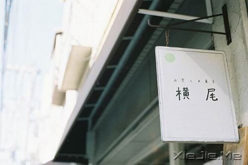 晚安心语:拥有的越少,就越懂得去珍惜 (10)