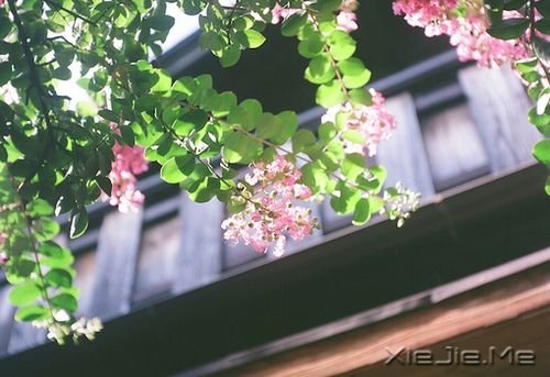 早安心语:你的心很小,不要装下太多忧伤 (2)