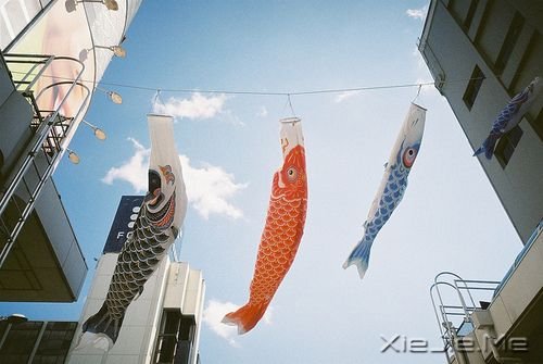 晚安心语:我的愿望是,一觉睡到小时候 (8)