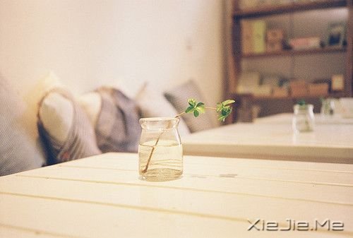 �簲�����Щ���������ң���Щ�����Կ��� (3)