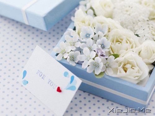 �簲�������ס�����ڮ�٣��;���ס�������� (6)