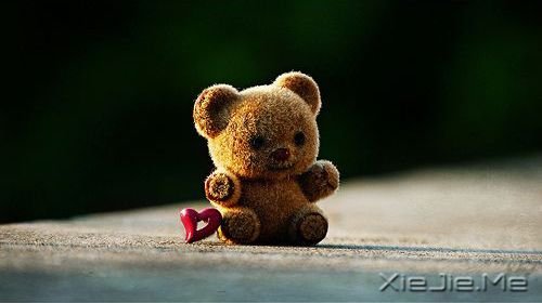 �簲�����������ֻ��������Ը�����ŵĶ��� (2)