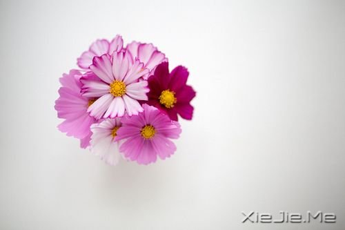 �簲������������£���Ҫһ���˿� (1)