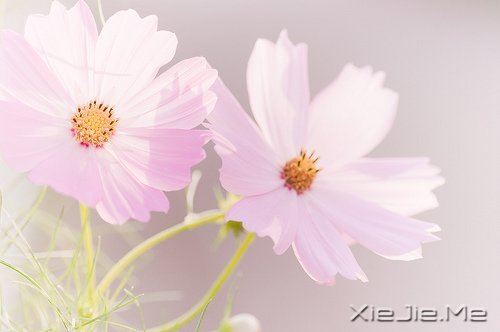 ������¼��������Թ���磬����ı��Լ� (1)