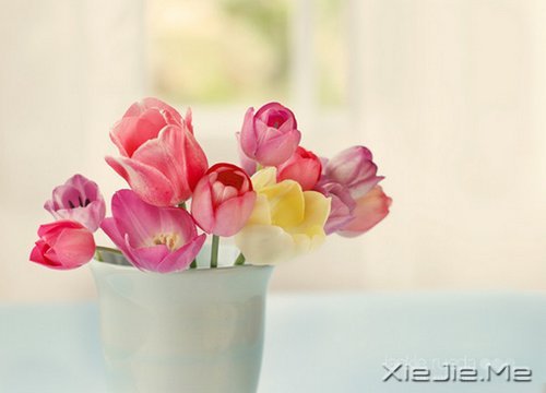 20岁到30岁应该学会的5件事 (1)