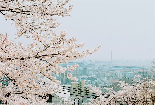 ҽ����ʫ��