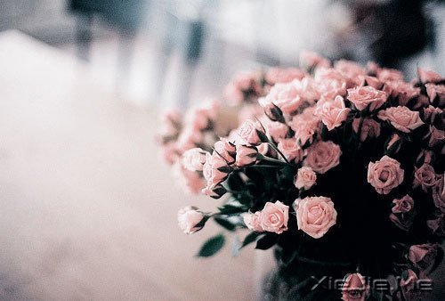 ֻҪ��Ը�Ⱞ����������㱳�������