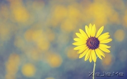 7����Ч�����˼ʹ�ϵ��ϰ��