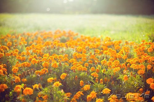 �����Լ������κ��ź� (10)