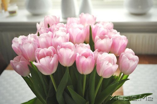 ��һ��ʮ���Ҹ�����