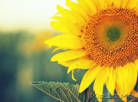 ������¼��������磬������������ (1)