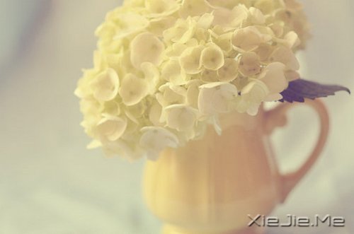 10����ů��Ӣ�ĸ����Ƽ� (7)