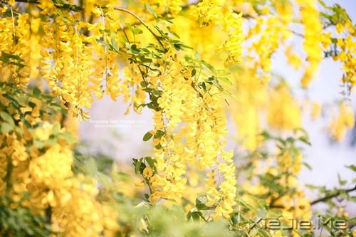 �����ഺ���ڣ�����ʱҪ����30����