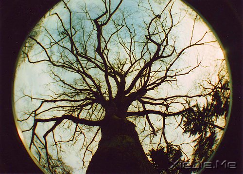 ���֣������������Ҫ��һ���� (2)