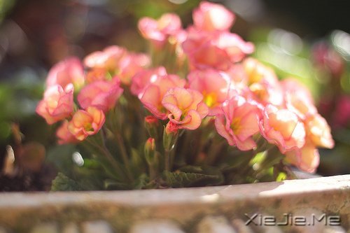 ������¼��ֻҪ�ʺ��Լ��������Ҹ� (2)