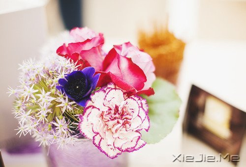 ������¼����ʲôҲ������������ (3)