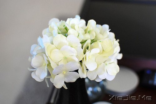 ���֣������������һ���Ե�