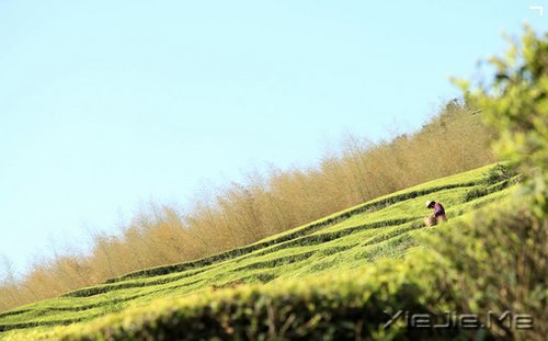 如果相遇在这条小路 (3)