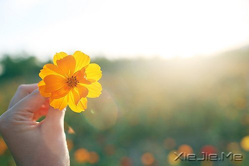 努力选择去过自己喜欢的生活