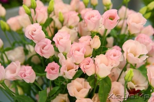 越长大越孤单 (3)