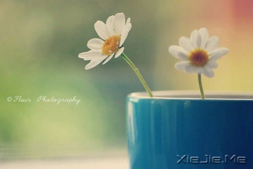 ��һ�仨����ʱ��